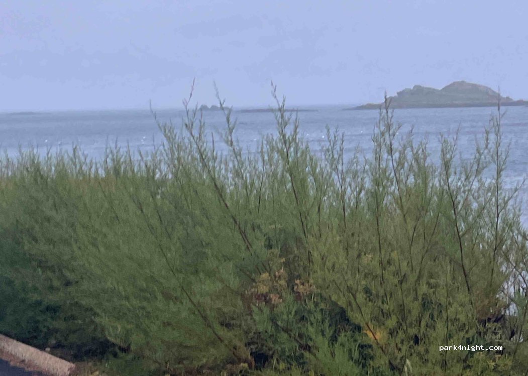 (29680) Roscoff - Rue Jeanne d'Arc — foto 4