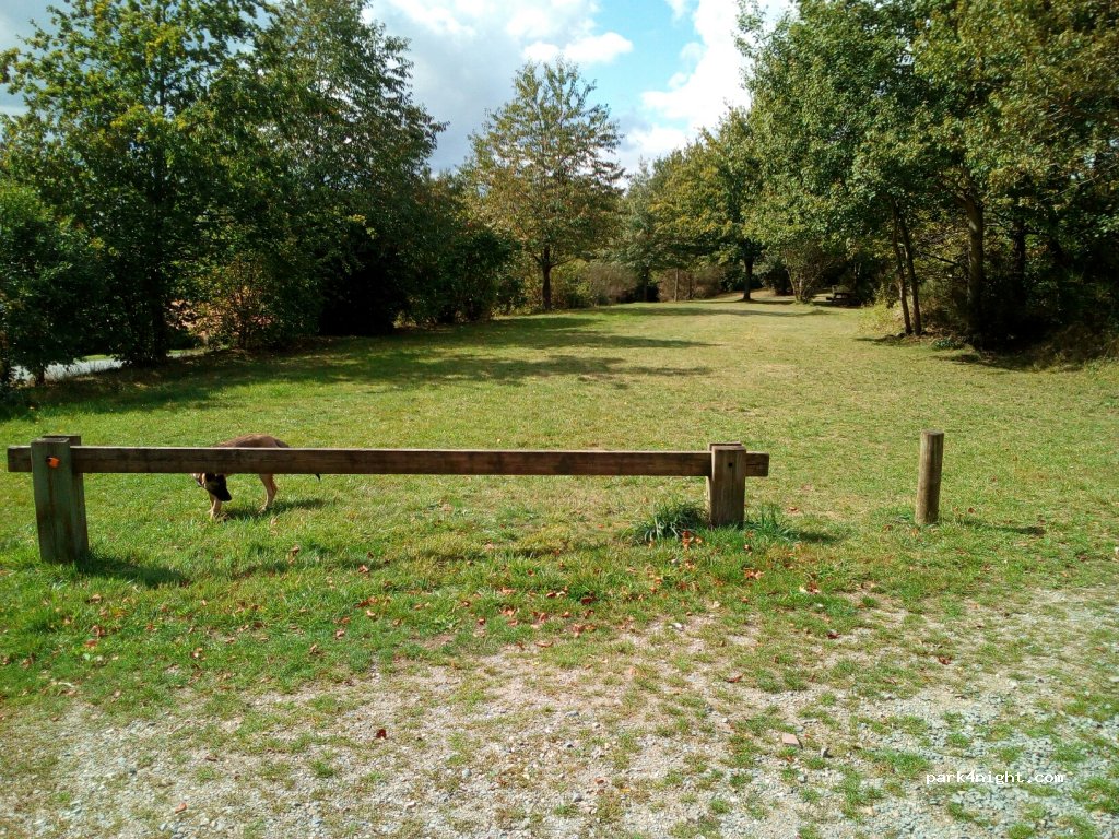 (85390) Cheffois - 16 La Maison Neuve — foto 2