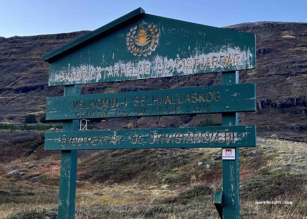 (710) Seydisfjordur - Seyðisfjarðarvegur — foto 3