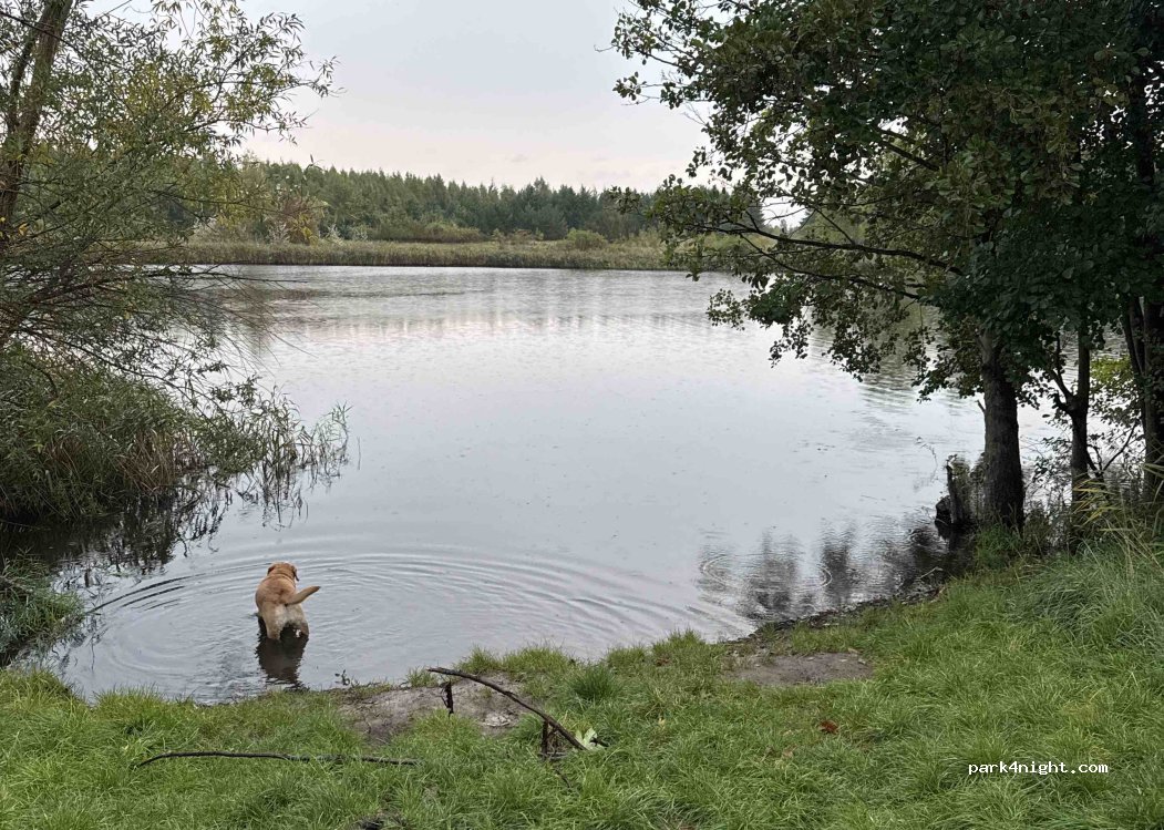 (12529) Waltersdorf - Plattenweg Rotberg — foto