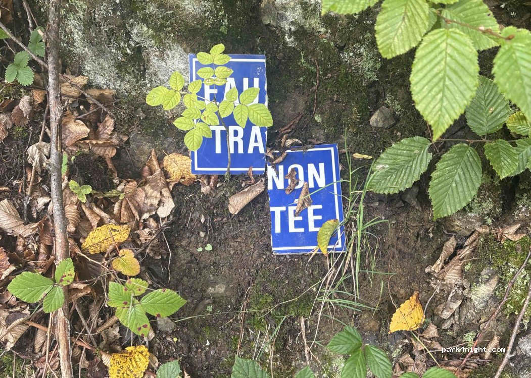(68500) Rimbach-près-Guebwiller - Chemin de la Glashutte — foto 2
