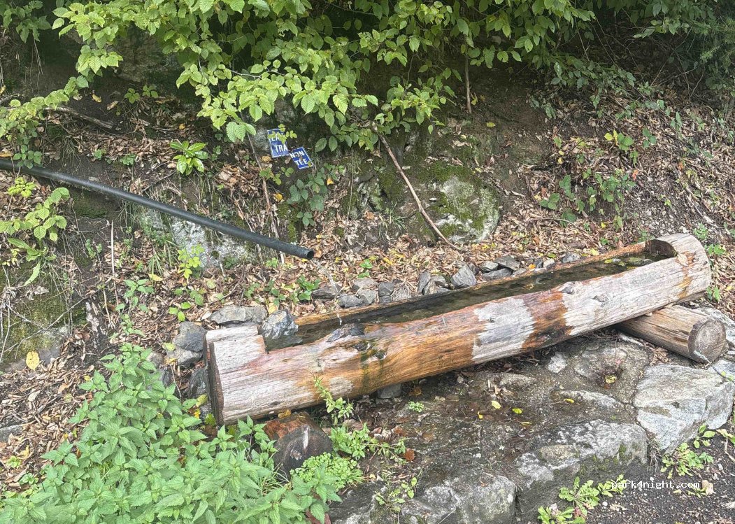 (68500) Rimbach-près-Guebwiller - Chemin de la Glashutte — foto 3