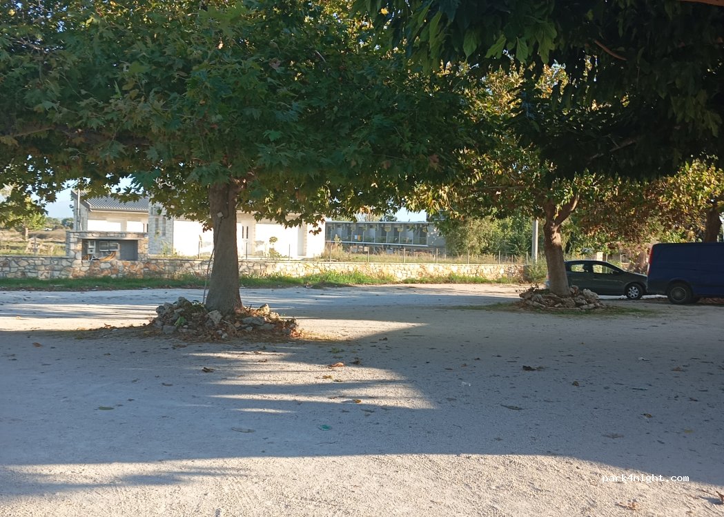 Zorbas Tavern — foto