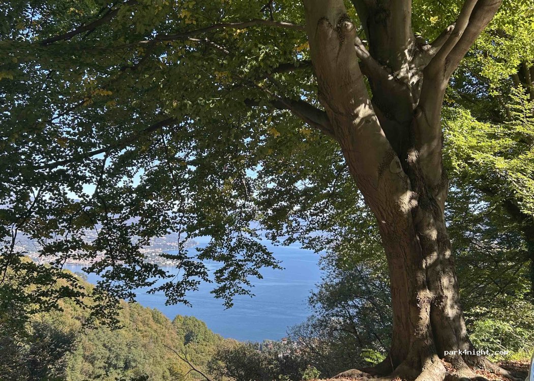 (28839) Stresa - Via Fonte Purissima — foto