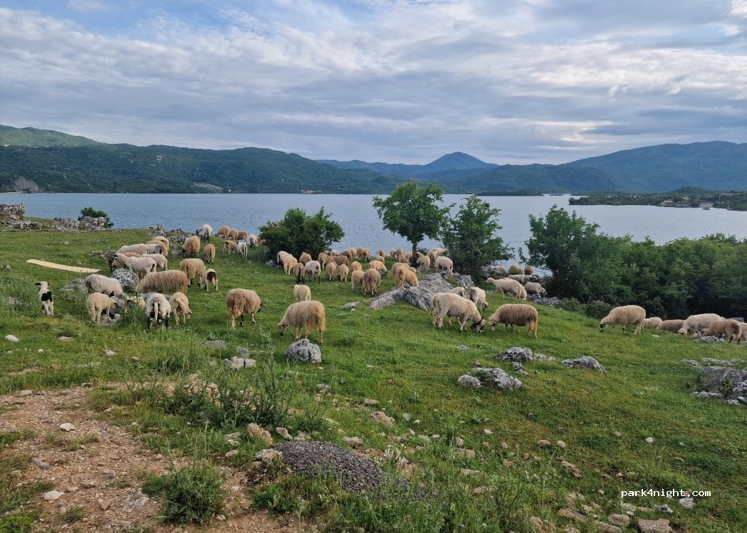 (?) Nikšić Municipality - P15 — foto 3