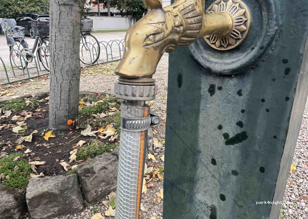 (9155) Lébény - Iskola utca — foto 2