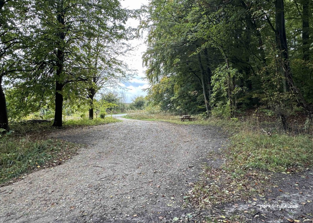 (3550) Slagslunde - Gulbjergvej — foto