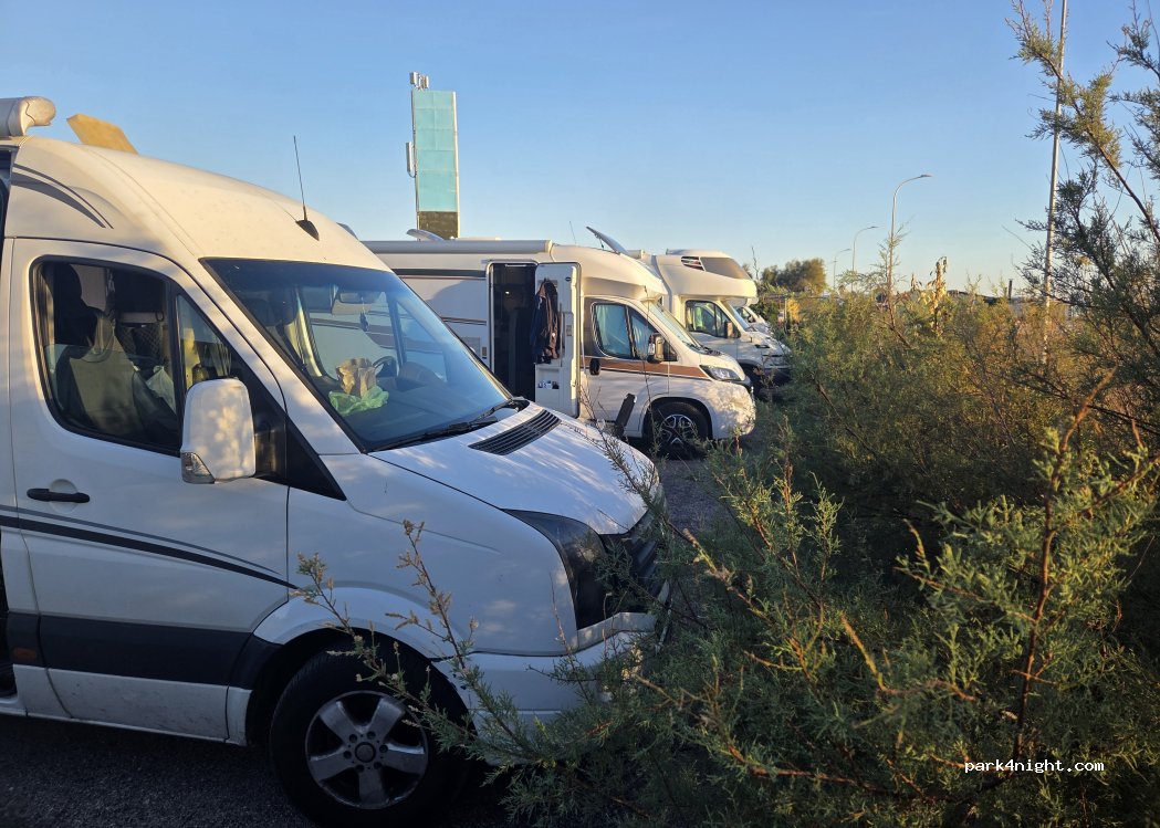 (56128) Pisa - Via Litoranea — foto