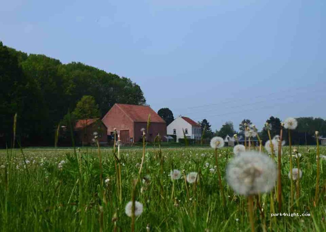 Huize Chartreuze — foto 5