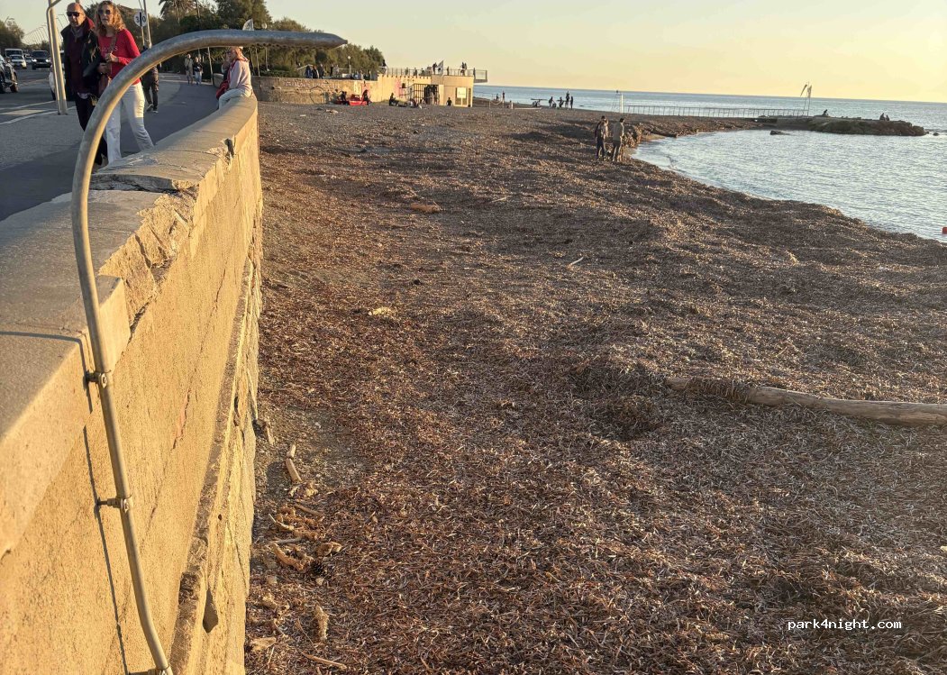 (57128) Livorno - Viale di Antignano — foto