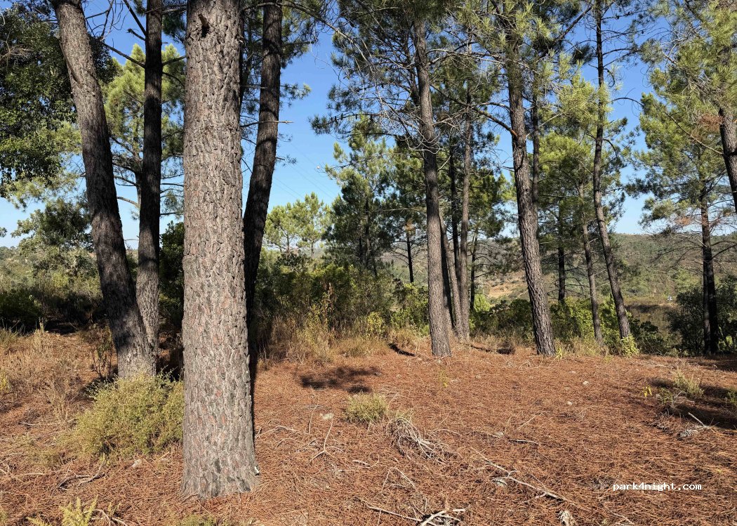 () São Brás de Alportel - — foto 2