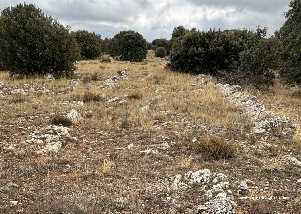 (42189) Almajano - Carretera de Almajano — foto