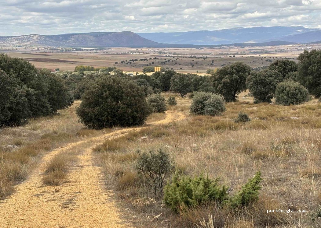 (42189) Almajano - Carretera de Almajano — foto 2