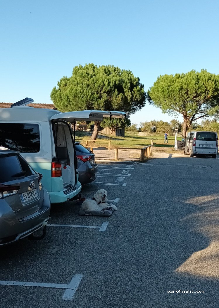 (33470) Gujan-Mestras - Avenue de la Plage — foto