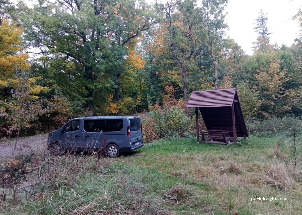 (57-530) Smreczyna - — foto