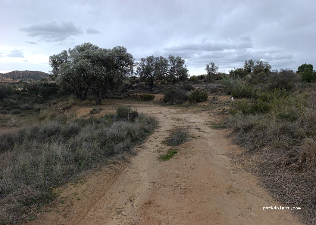 (50700) Caspe - Carretera de Guadalajara a Alcañiz y Lleida — foto 2