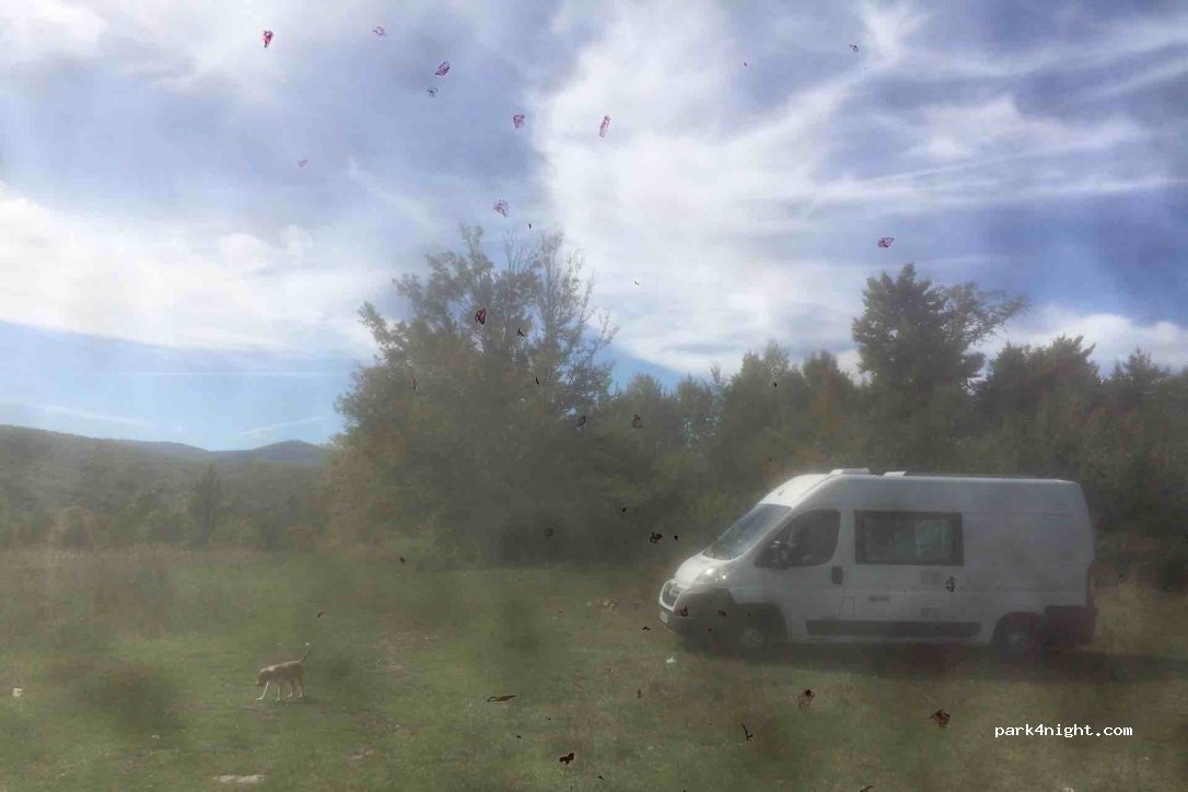 (325150)  - DN57B — foto 2