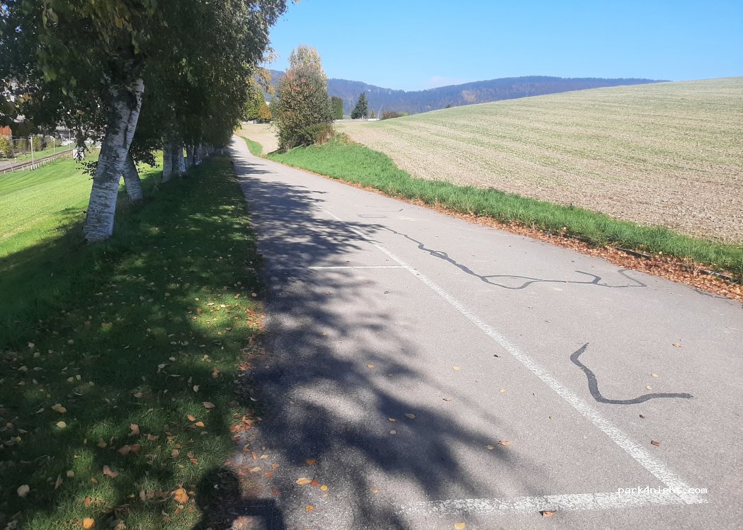(2710) Tavannes - Chemin des Bouleaux — foto 2