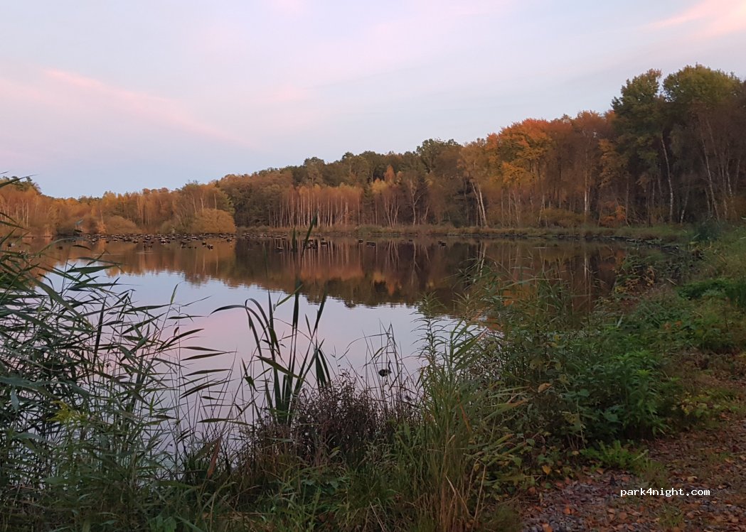 (28133) Hässleholm - M 1919 — foto 3