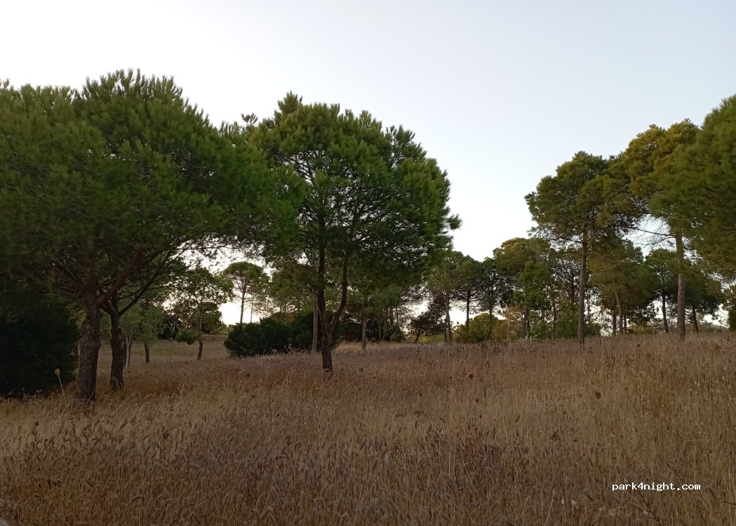 (8200-428) Guia - Estr. dos Salgados — foto