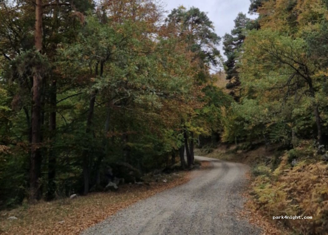 (26125) Ortigosa de Cameros - Pista de Ortigosa a Villoslada — foto 2