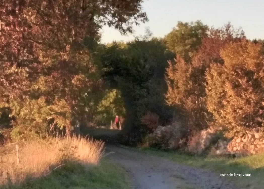 (43150) Freycenet-la-Tour - Route du Monastier — foto 3