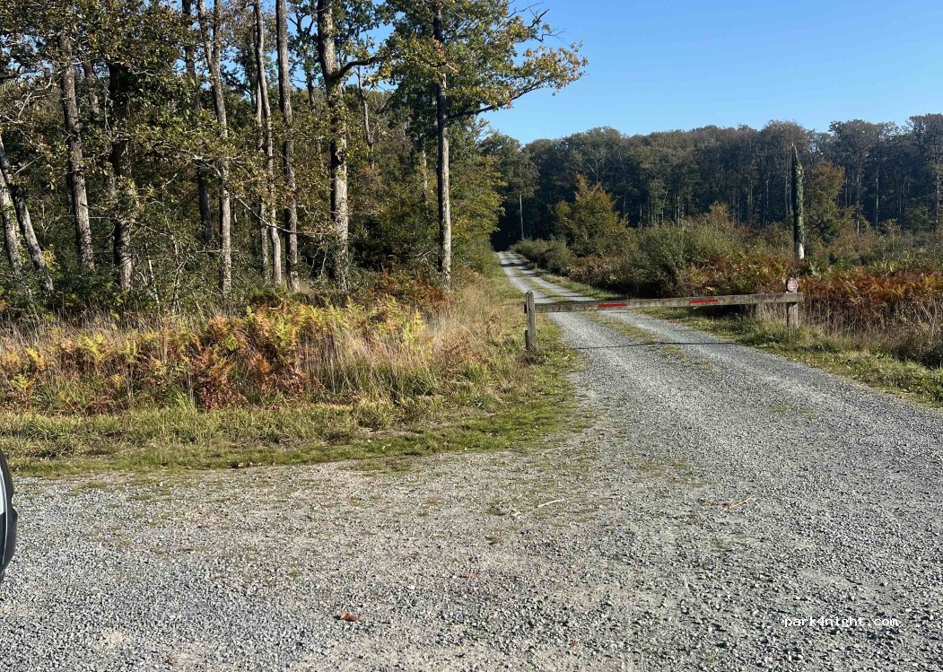 (44130) Le Gâvre - Allée Forestière du Pilier — foto 2