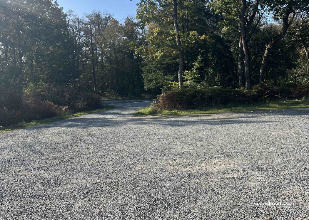 (44130) Le Gâvre - Allée Forestière du Pilier — foto 3