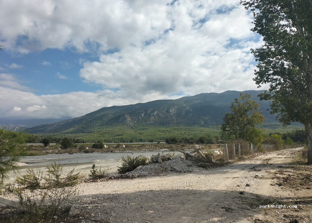 (07580) Palamut - — foto 2