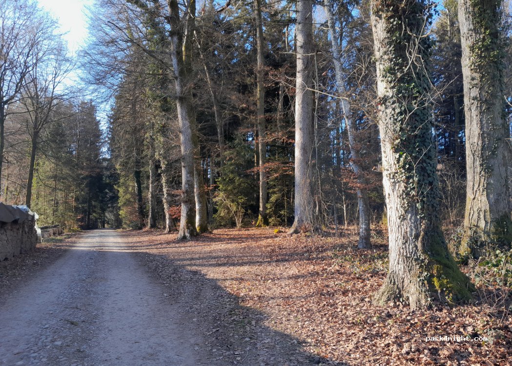 (3303) Zuzwil (BE) - Ruefsloh — foto