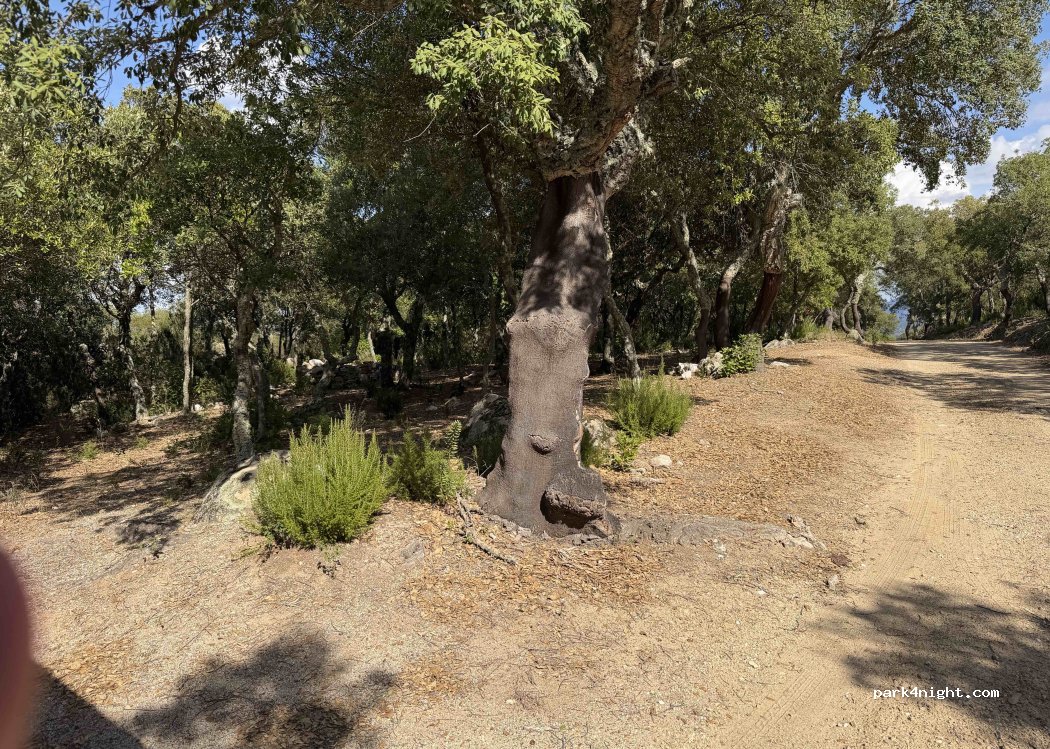 (09080) Nughedu Santa Itòria/Nughedu Santa Vit - Unnamed Road — foto