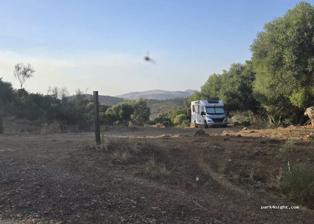 (11659) Puerto Serrano - — foto 2