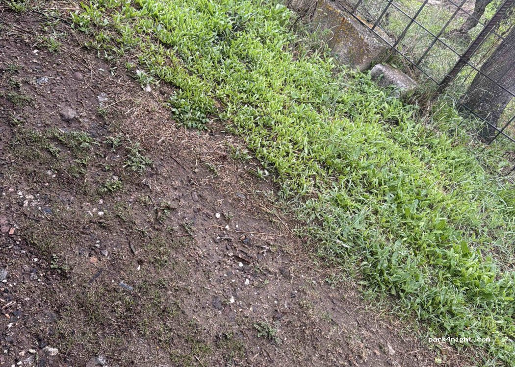 (09083) Fordongianus - Strada Provinciale Fordongianus-Allai — foto