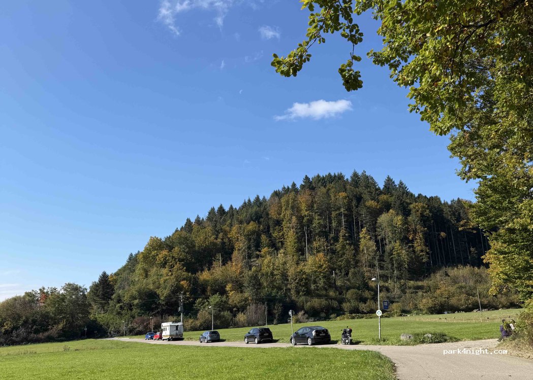 (79117) Freiburg im Breisgau - Wildbachweg — foto 2
