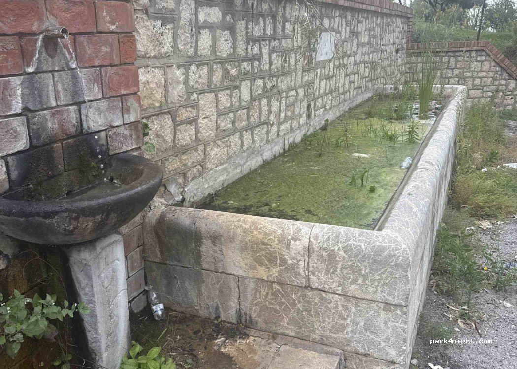 (90010) Campofelice di Roccella - SP9 — foto