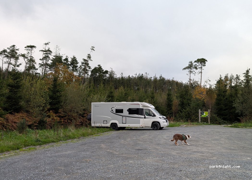 (BT24 8RL) Drumaness - Old Park Road — foto