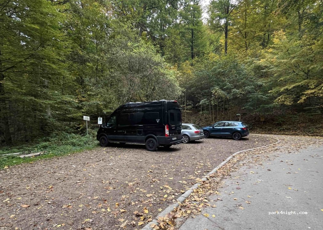 (69118) Heidelberg - Klingelhüttenweg — foto