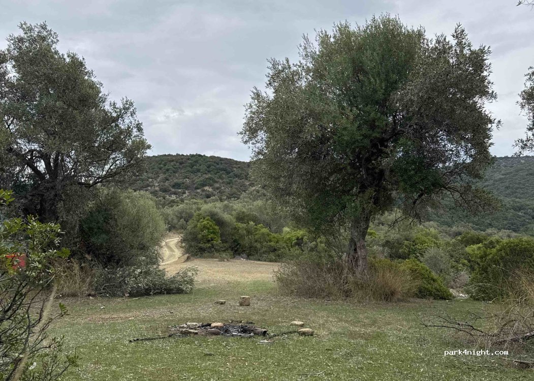 (30500) Municipal Unit of Amphilohia - Αμφιλοχία - Ποδογορά — foto 3