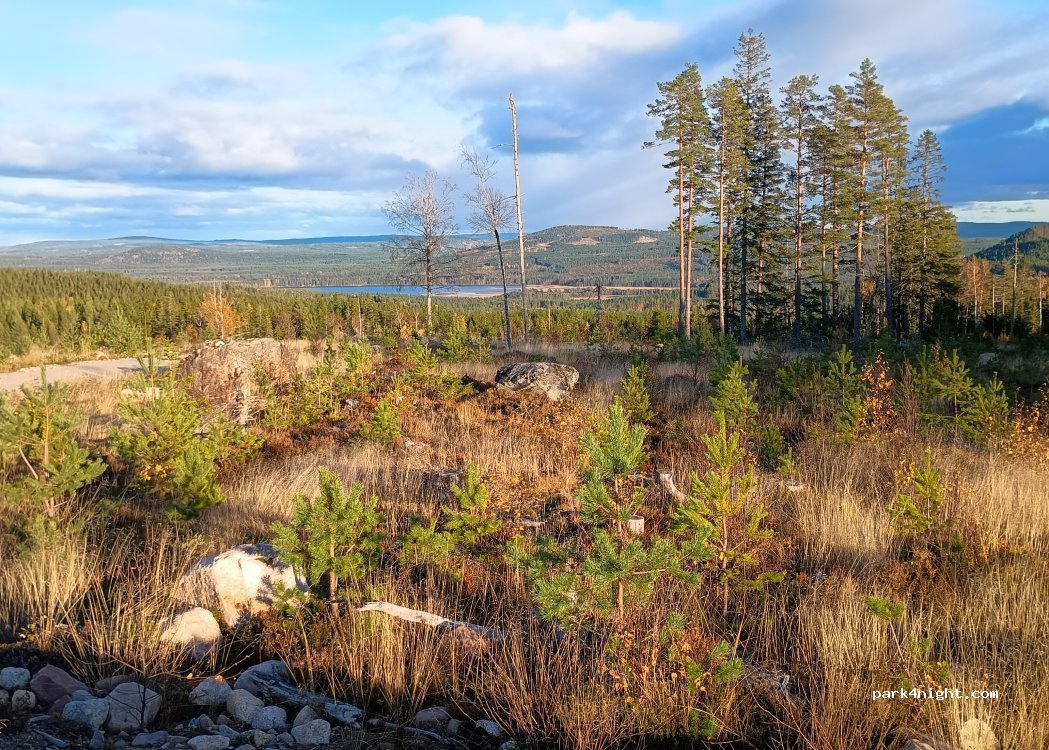 (786 93) Nås - — foto 3