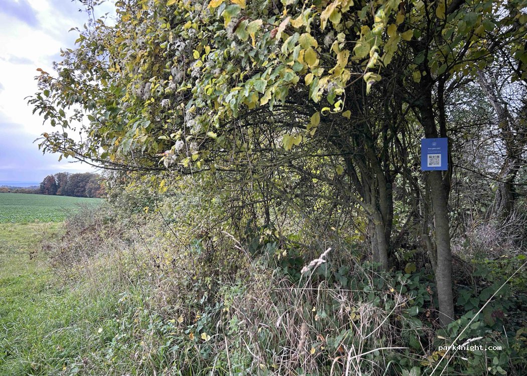 (27723) Kokořín - 27311 — foto