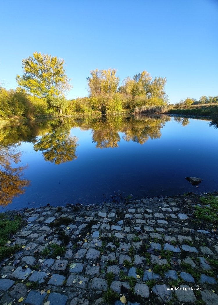 (06193) Wettin-Löbejün - Wiesenweg — foto 5