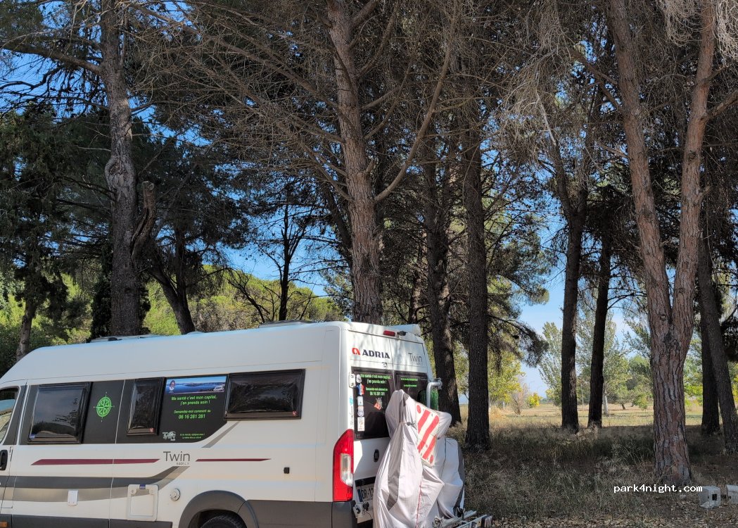() Ejea de los Caballeros - Paseo de la Jota Aragonesa — foto