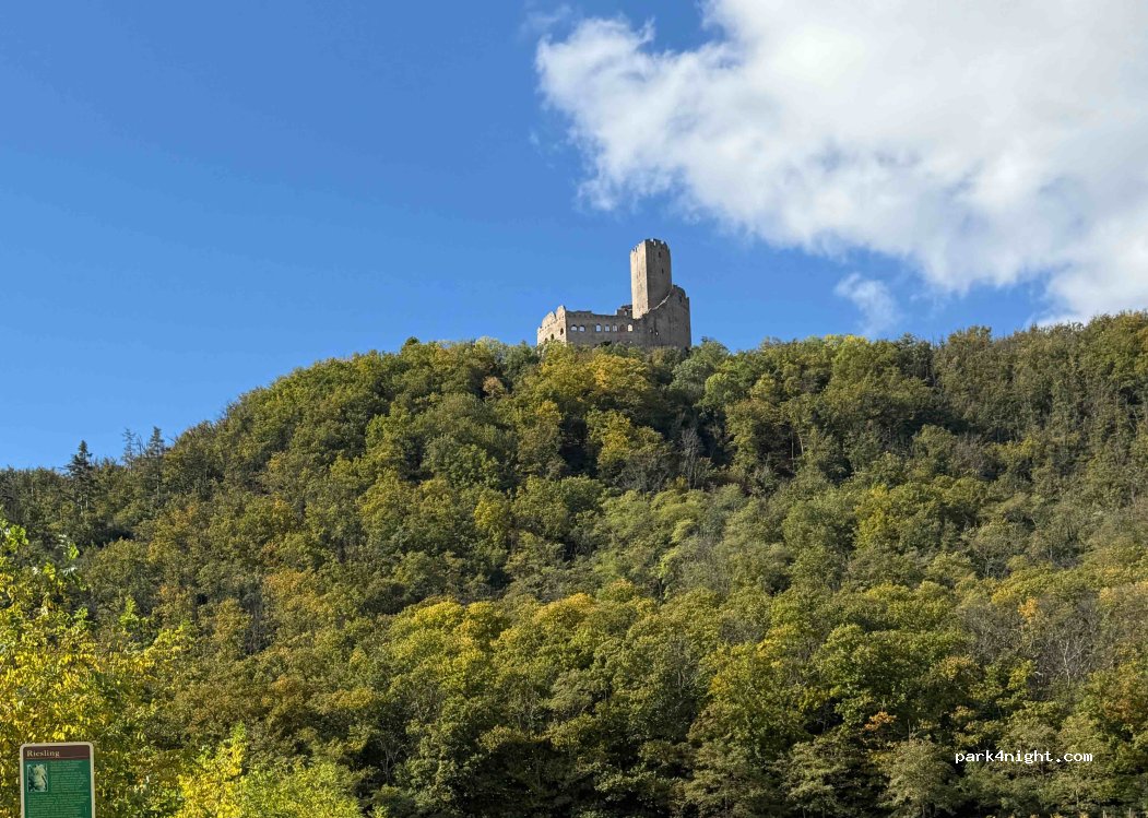 (67750) Scherwiller - — foto 3