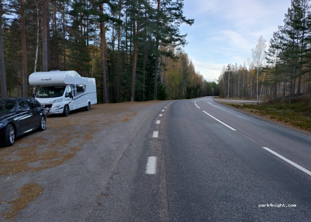 (82026) Stråtjära - X 588 — foto