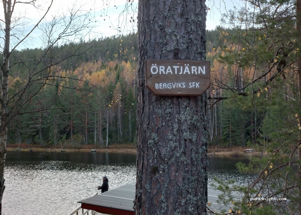 (82026) Stråtjära - X 588 — foto 5