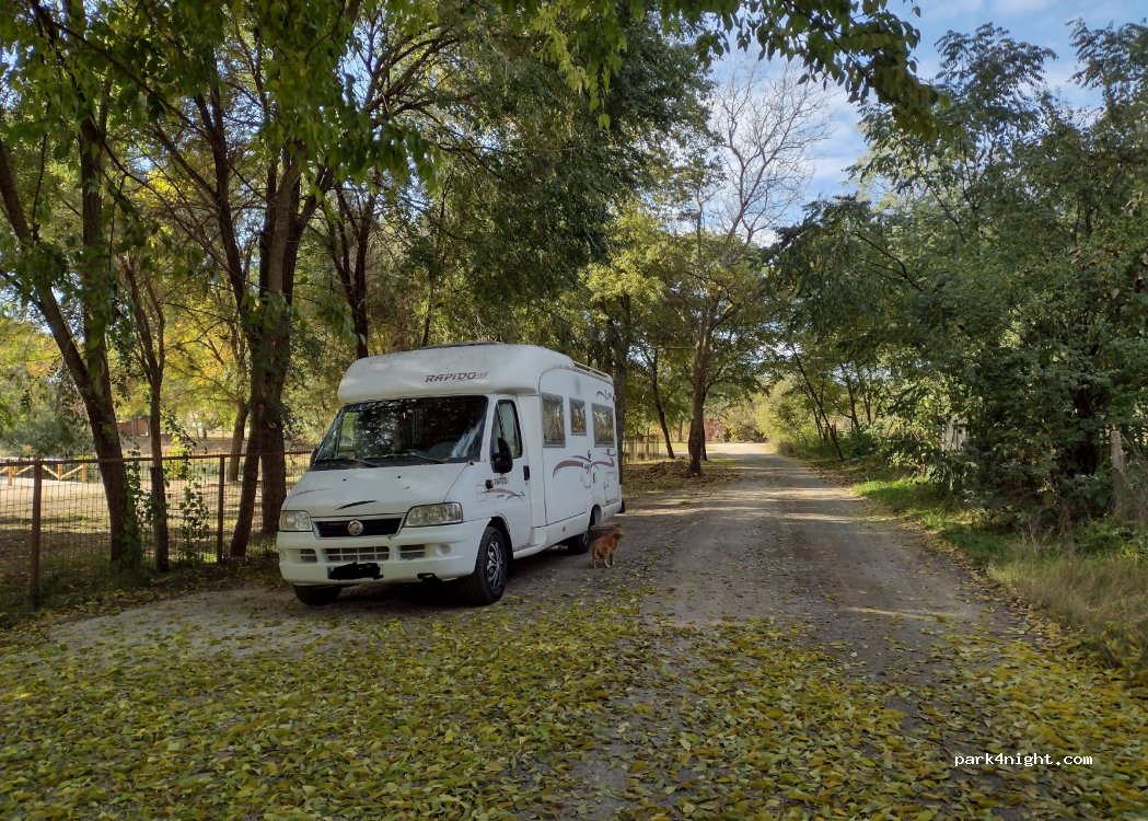 (4274) Hosszúpályi - Borház utca — foto