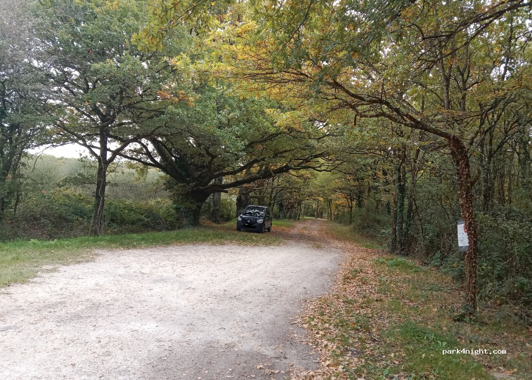 (45590) Saint-Cyr-en-Val - Route de Boistards — foto