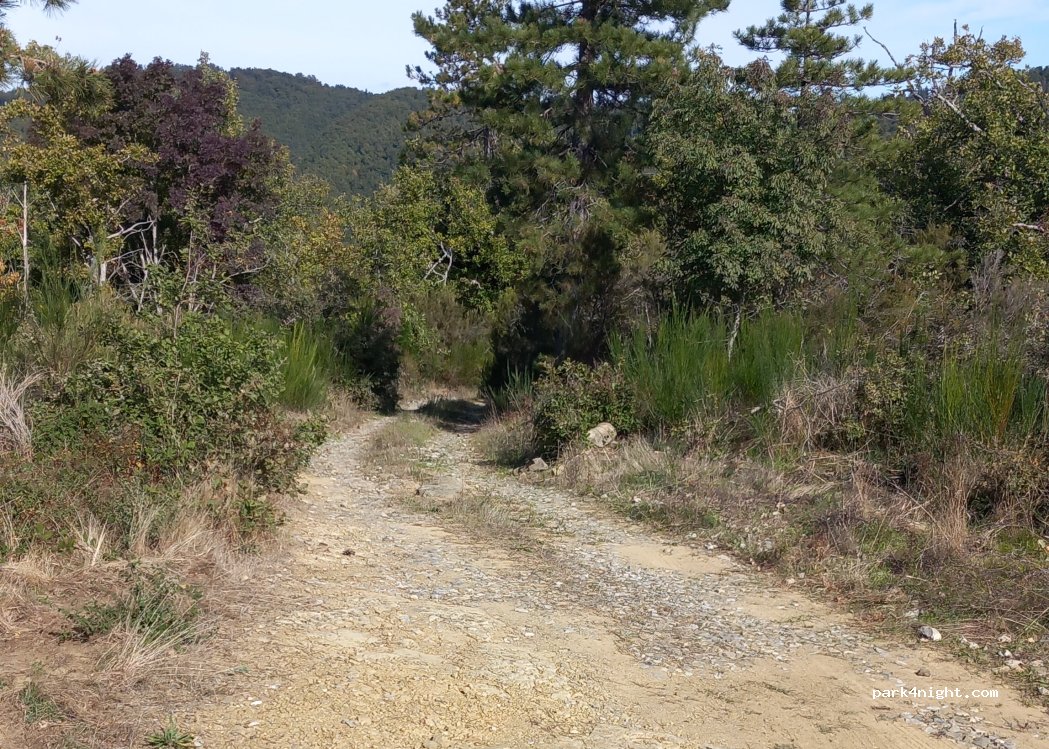 (53013) Gaiole in Chianti - Strada provinciale di Monteluco — foto 3