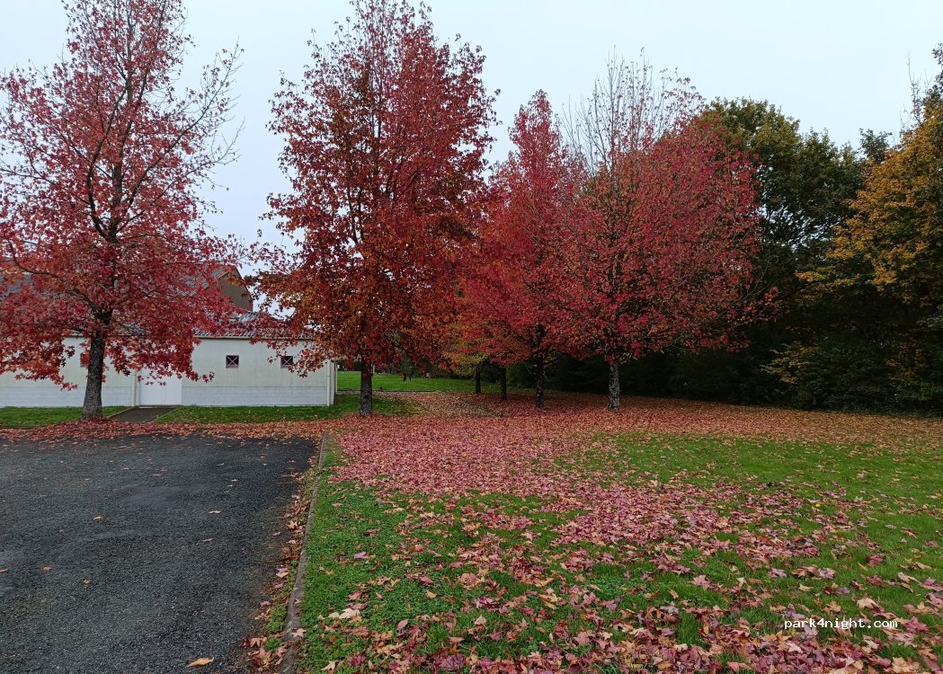 (85170) Saint-Denis-la-Chevasse - Rue des Charmes — foto