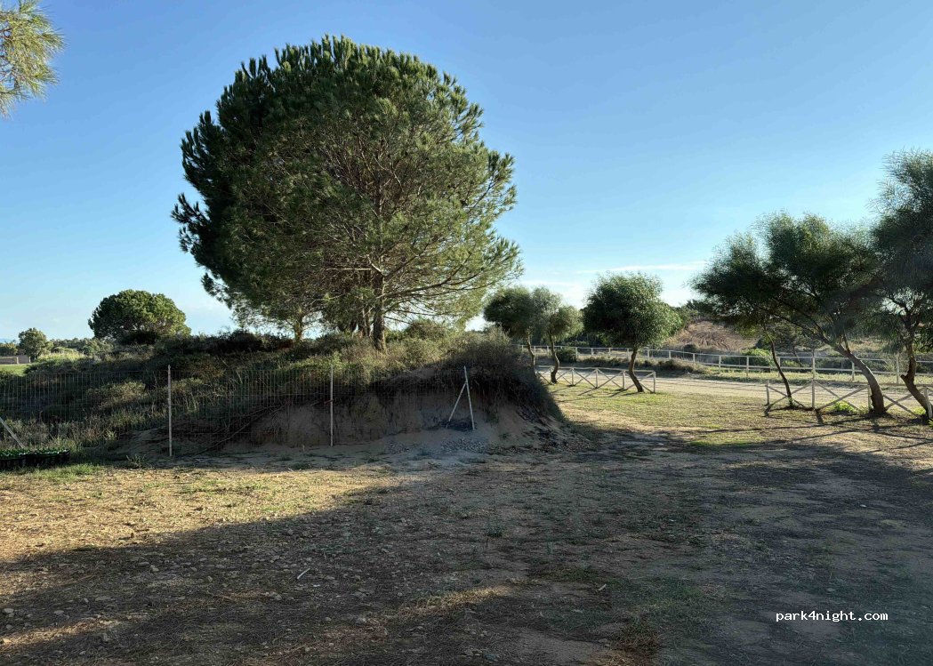 (09070) Arriora/Riola Sardo - Unnamed Road — foto